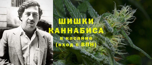 шишки Алексин