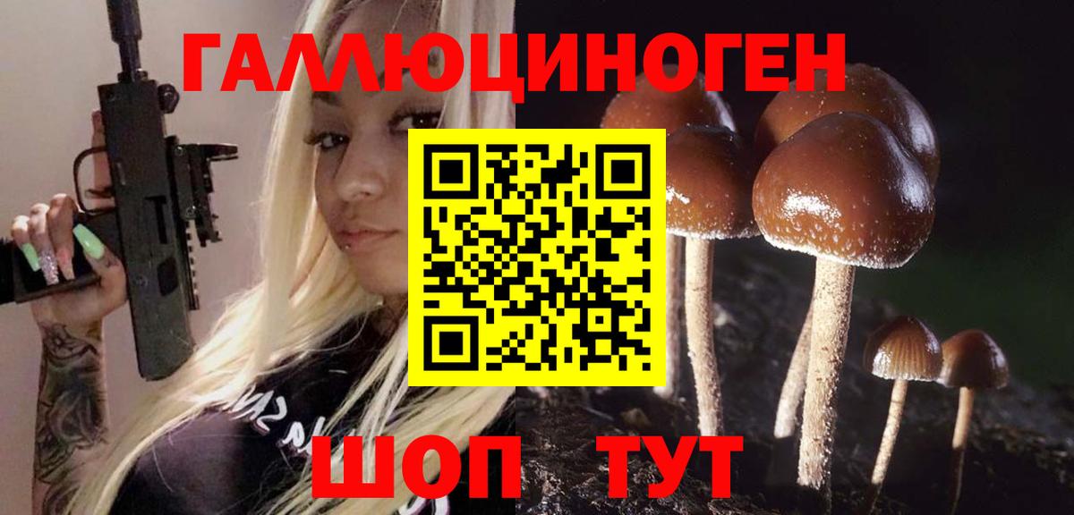 Галлюциногенные грибы GOLDEN TEACHER  Вход с VPN  Вятские Поляны 