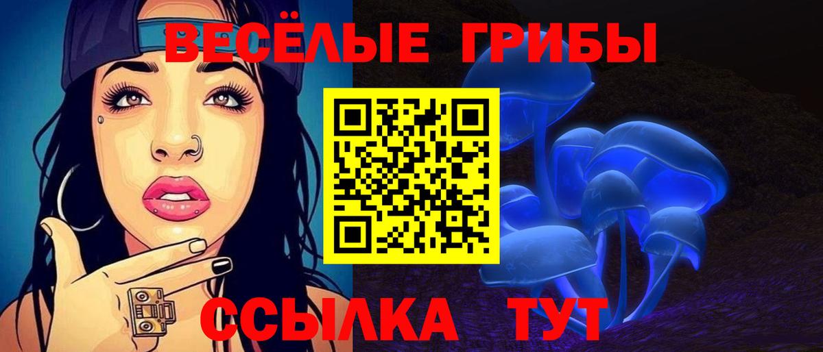 Псилоцибиновые грибы Magic Shrooms  Вятские Поляны  Псилоцибиновые грибы Psilocybe 